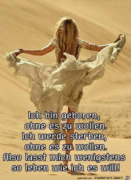 Genau so ist es