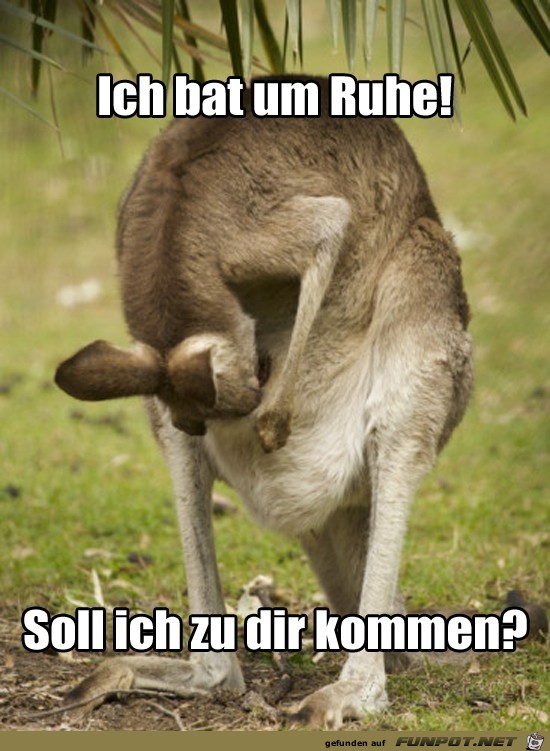 Ruhe Ruhe