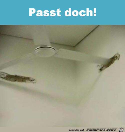 Passt Passt