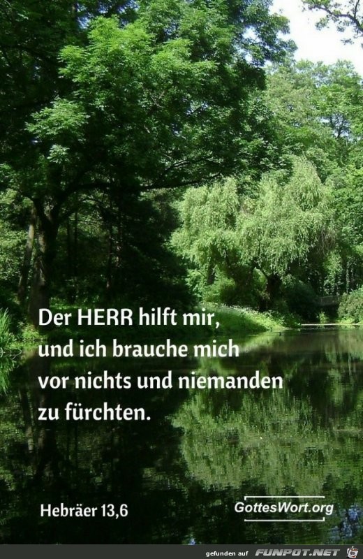 hebraeer 13.6