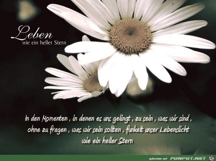 in den Momenten in den Momenten