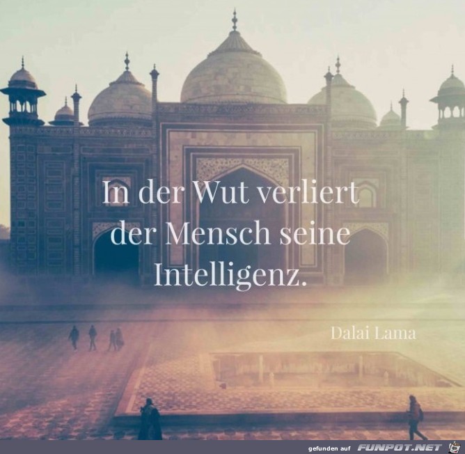 in-der-wut- in-der-wut-