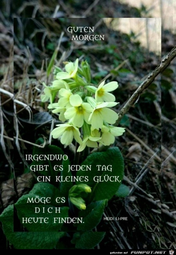 irgendwo irgendwo