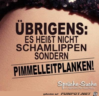 Schamlippen Schamlippen