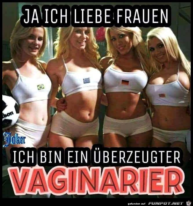 Vaginarier