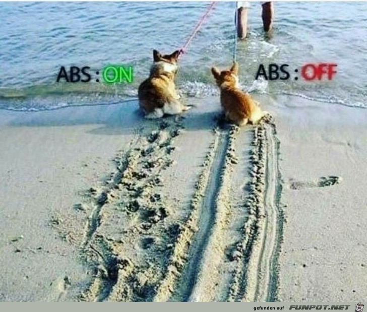 ABS on/ABS off ABS on/ABS off