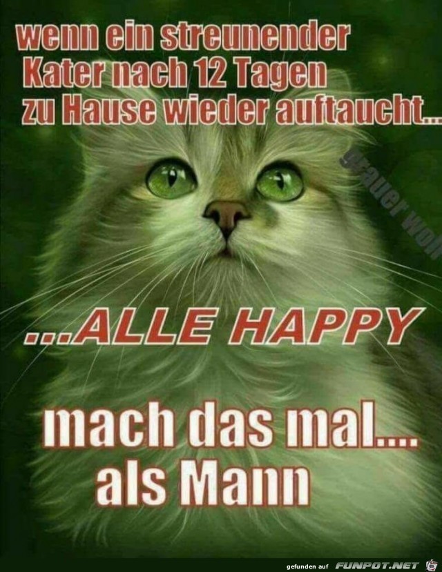 Mach das mal als Mann... Mach das mal als Mann...