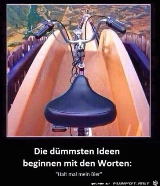Die dümmsten Ideen beginnen mit.... Die dümmsten Ideen beginnen mit....