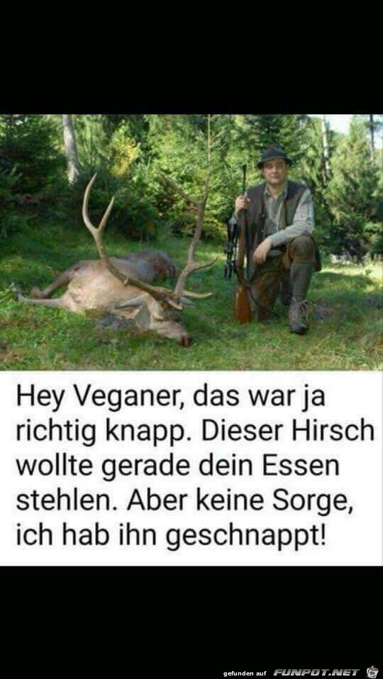 Hey Veganer: Hey Veganer: