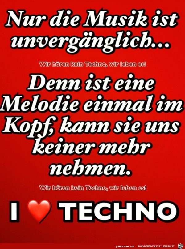 Nur die Musik ist unvergnglich