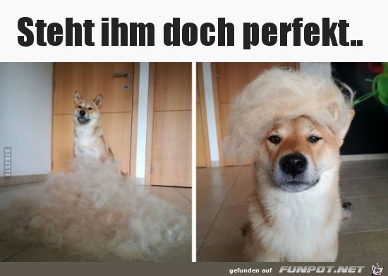 Super Frise Super Frise