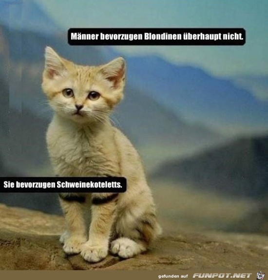 Jetzt wäre das auch geklärt Jetzt wäre das auch geklärt