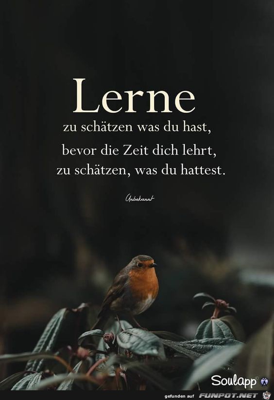lerne zu schaetzen lerne zu schaetzen