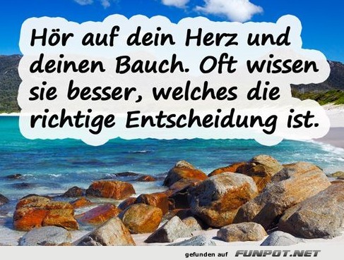 hör auf dein Herz und deinen Bauch,...... hör auf dein Herz und deinen Bauch,......