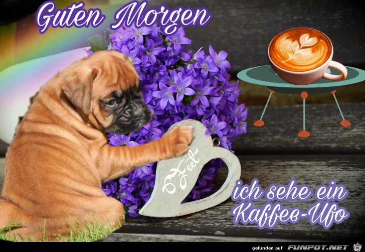 Guten Morgen