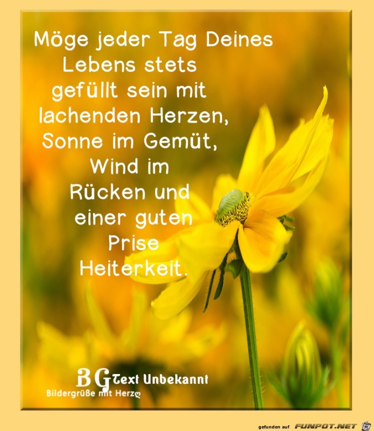 Moege jeder Tag Moege jeder Tag
