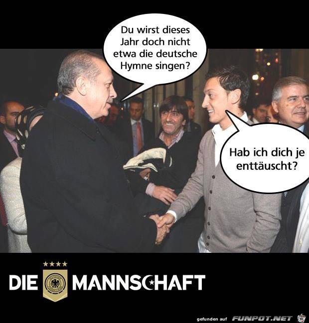 Habe dich nie enttäuscht Habe dich nie enttäuscht