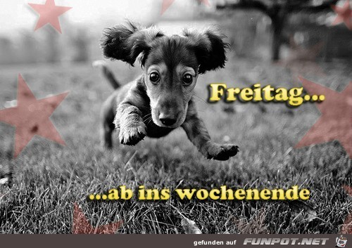 Freitag