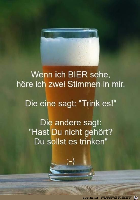 Zwei Stimmen Zwei Stimmen