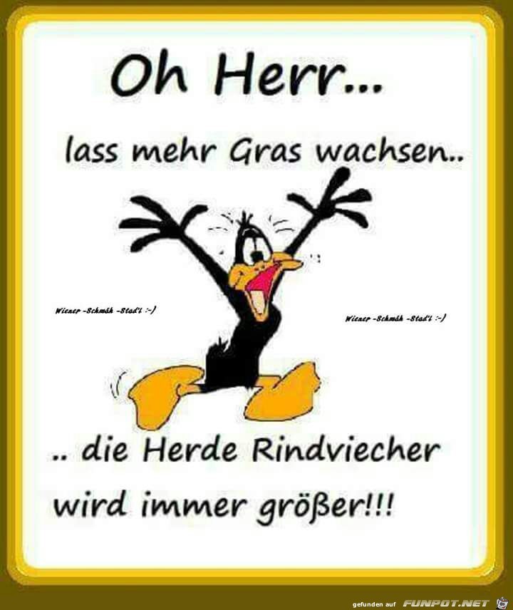 Oh Herr.....