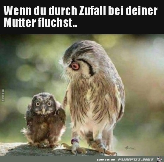 Upsi Upsi