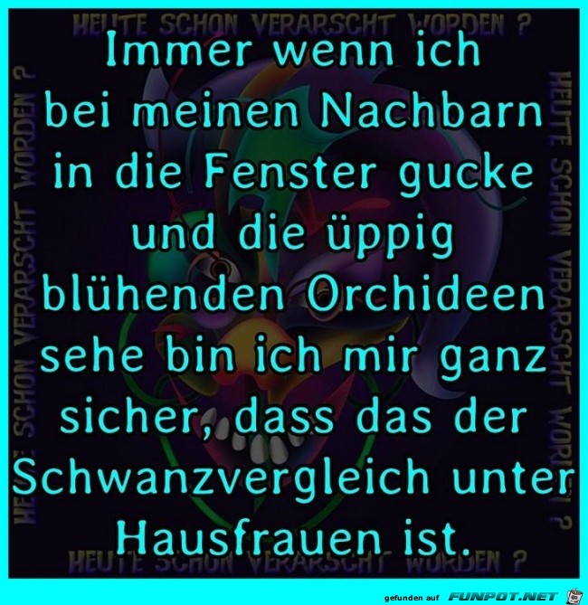 Mein Nachbar Mein Nachbar