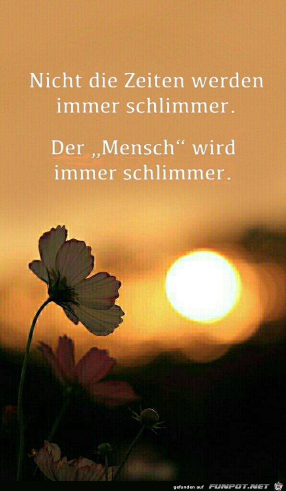 Nicht die Zeiten Nicht die Zeiten