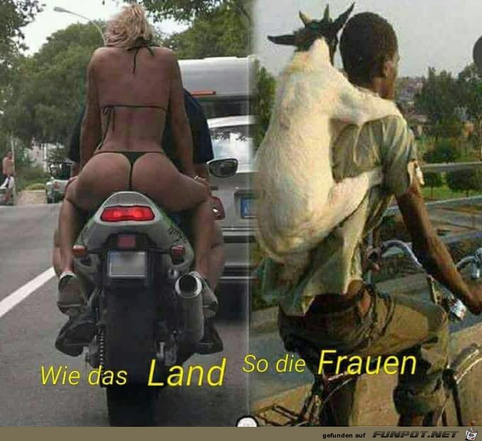 Wie das Land so die Frauen Wie das Land so die Frauen