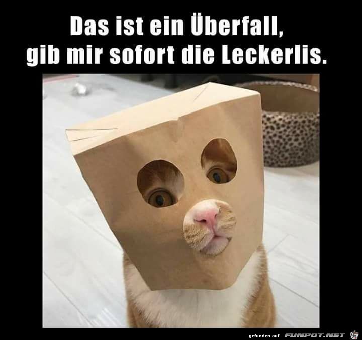 das ist ein Überfall das ist ein Überfall