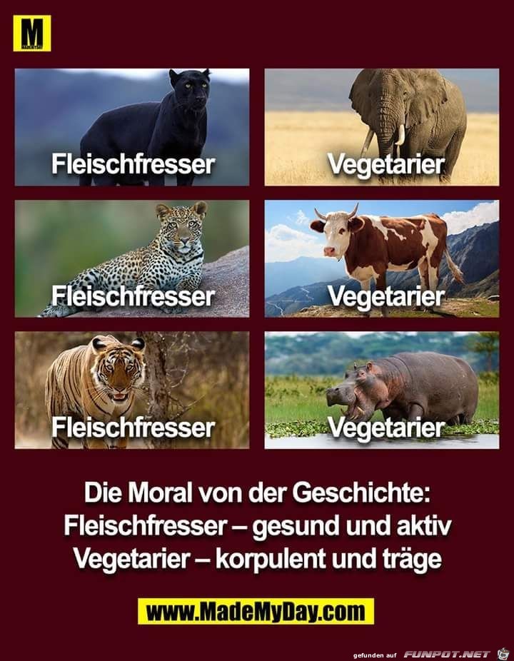 die Moral von der Geschichte