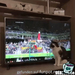Ich fang dich Ich fang dich