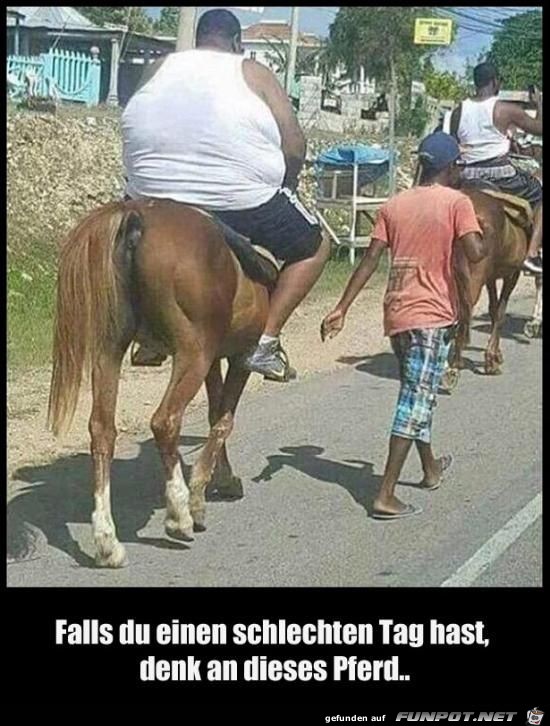 falls du einen schlechten Tag hast.....