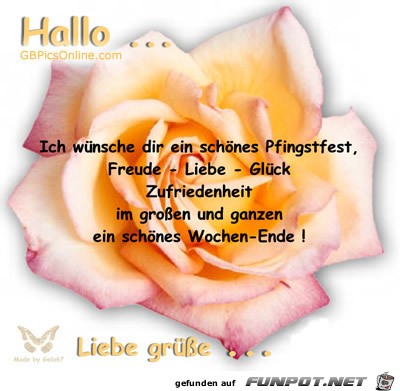 hallo zu-pfingsten hallo zu-pfingsten