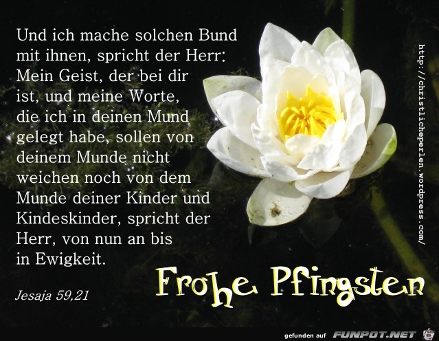 pfingsten pfingsten