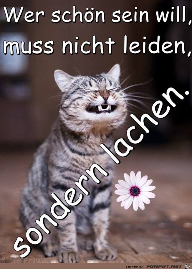 Wer schoen sein will Wer schoen sein will
