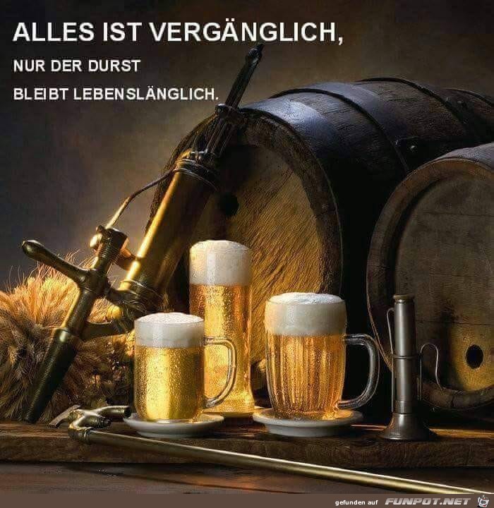 Da ist was dran Da ist was dran