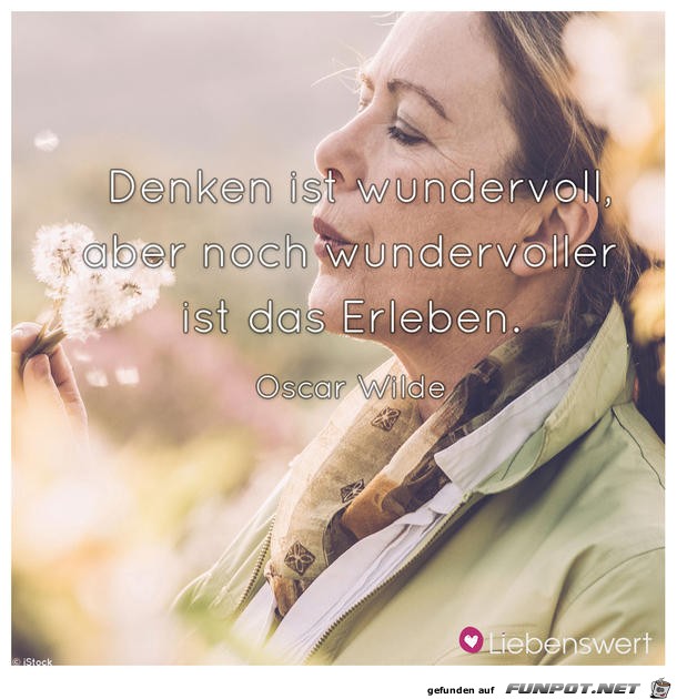 Denken ist wundervoll3 Denken ist wundervoll3