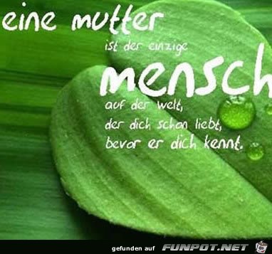 eine Mutter ist der einzige Mensch eine Mutter ist der einzige Mensch