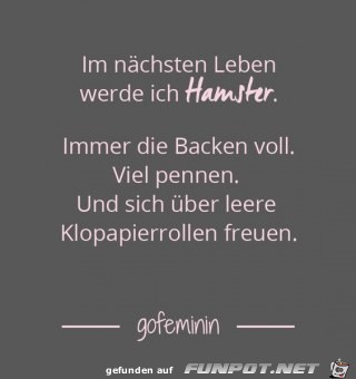 im naechsten leben im naechsten leben