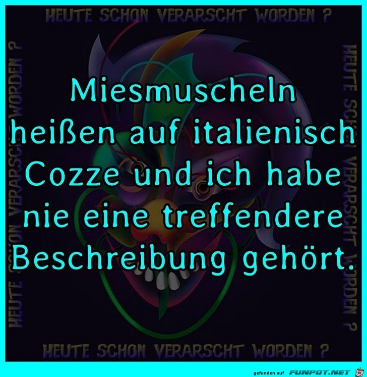 Miesmuscheln Miesmuscheln