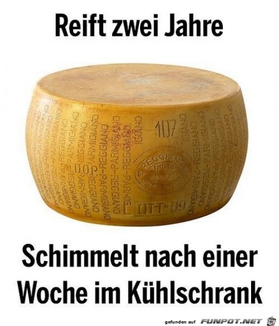 Kommt hin Kommt hin