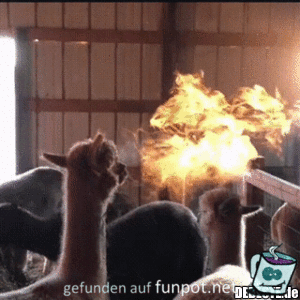 Sieht wie Feuer aus Sieht wie Feuer aus