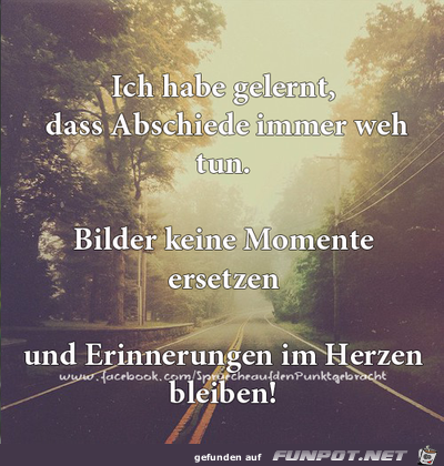 ich habe gelernt, das Abschiede iimmer weh tun..... ich habe gelernt, das Abschiede iimmer weh tun.....