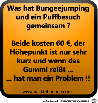 Gemeinsamkeiten Gemeinsamkeiten