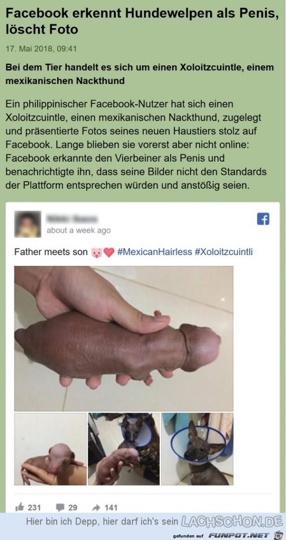 verkehrt verstanden verkehrt verstanden