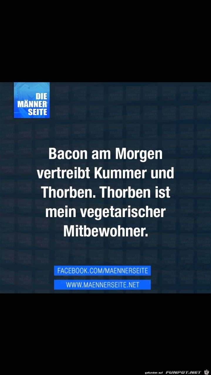 Speck am Morgen Speck am Morgen