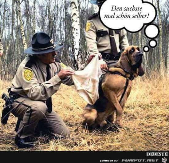 Spuerhund Spuerhund