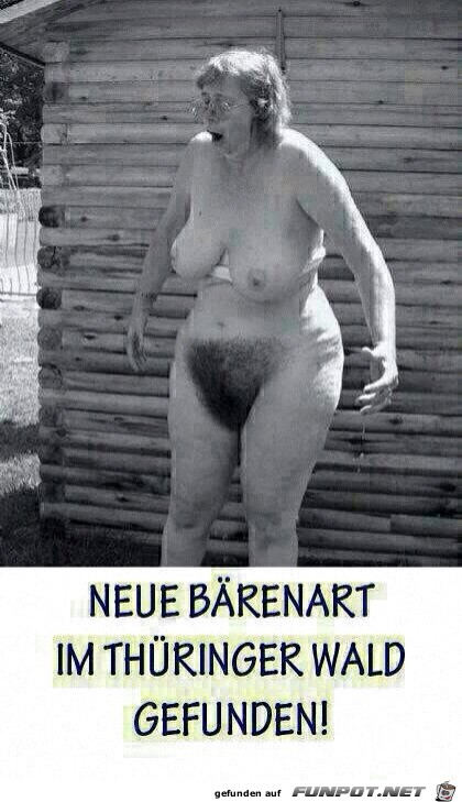 Neue Bärenart Neue Bärenart
