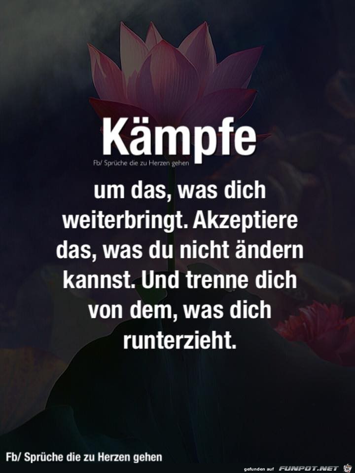 Kaempfe