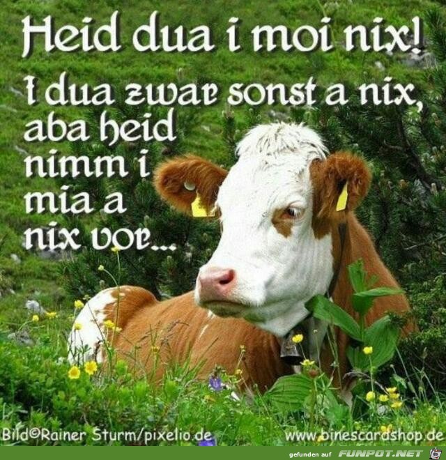 Heute tu ich mal nichts Heute tu ich mal nichts